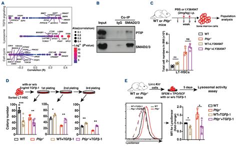 Pax Transactivation Domain Interacting Protein Is Required For