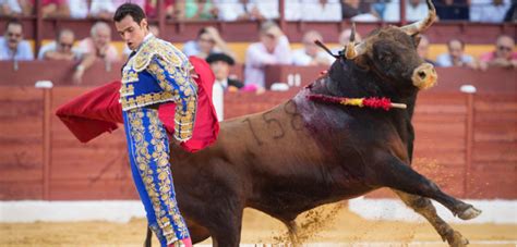 La Panor Mica Noticias Antonio Puerta Conquista Al Mundo Del Toreo En