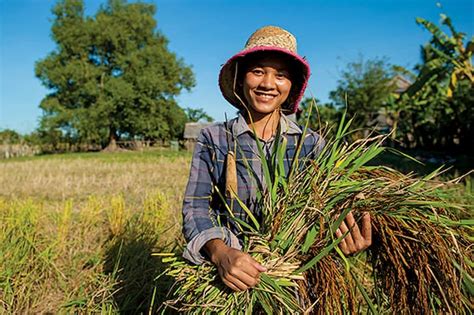 Cambodian Agricultural Exports Pass Three Million Tonnes In 2020 B2b