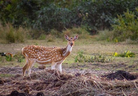 Top 10 Hidden Places In Nepal Discover The Hidden Gem