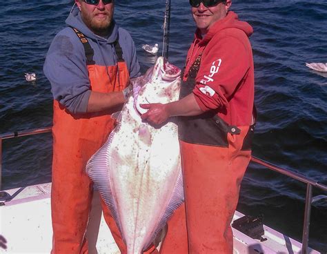 Seldovia Alaskan Fishing Charters All You Need To Know Before You Go