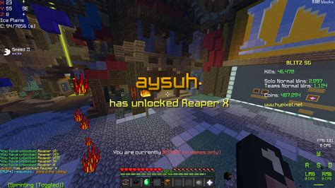cool hypixel forums