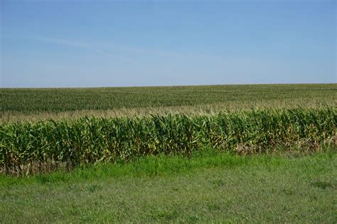 Waldo Realty Property Listings | Waldo Realty