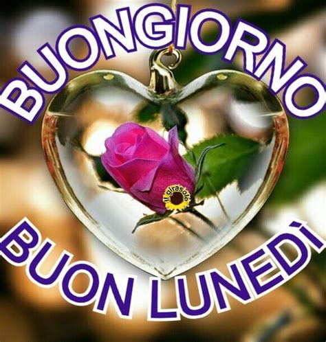 Pin Su Buongiorno Da Salvare E Solo Da Guardare 22 Auguri Di Buona