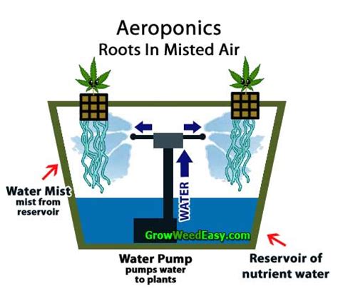 Aeroponics Diagram