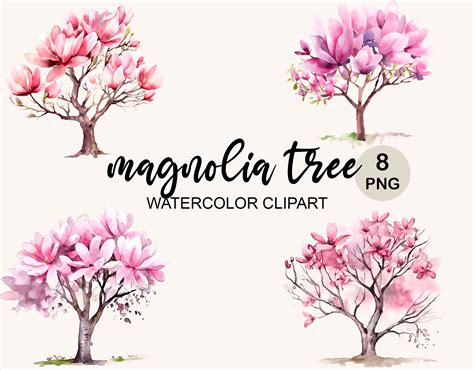 Magnolia Tree Clipart Png Watercolor Magnolia Png Magnolia - Etsy