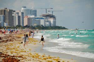 Lugares Para Visitar En Miami Con Adolescentes Info USA