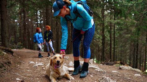 Faire De La Randonn E Avec Son Chien D Couvrez Le Plaisir D Une