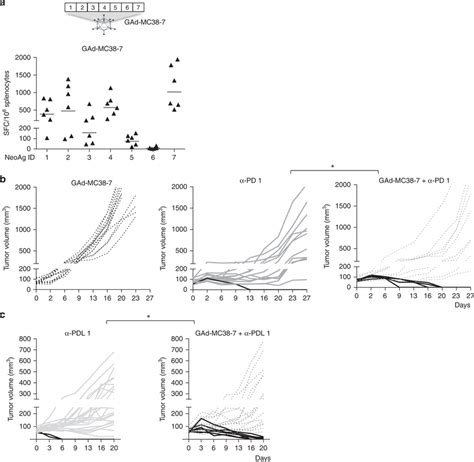 Gad And Checkpoint Inhibitors Also Synergize In The Mc38 Tumor Model A