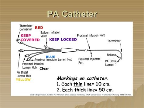 Pa Catheter Markings