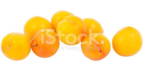 Yellow Plum Stock Photo | Royalty-Free | FreeImages