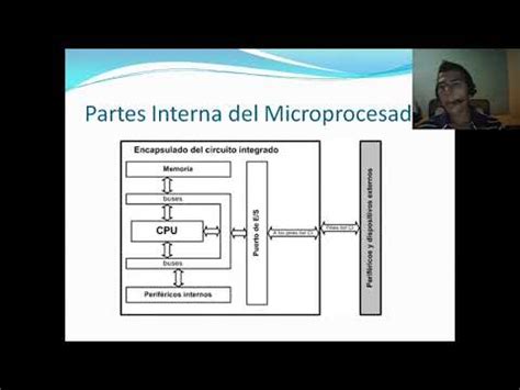 Estructura Interna Del Microprocesador YouTube