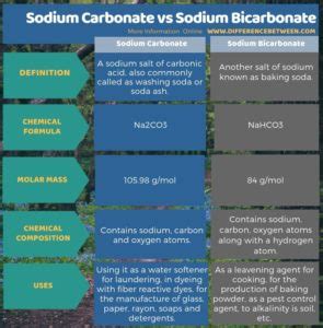 Difference Between Sodium Carbonate and Sodium Bicarbonate | Compare the Difference Between ...