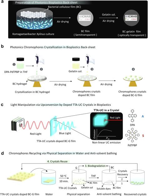 Photon Upconversion Crystals Doped Bacterial Cellulose Composite Films