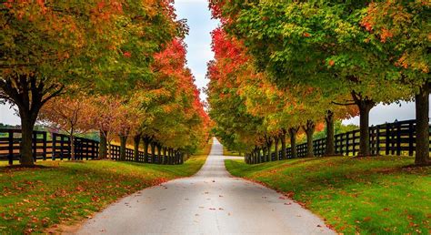 You Must See the Fall Leaves at These 10 Places in Kentucky