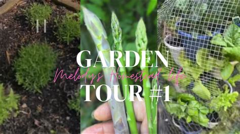 Garden Tour 1 Youtube