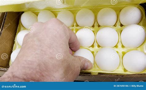 Hand Picking Eggs From A Package 18 Pack Fresh Eggs Grocery Store