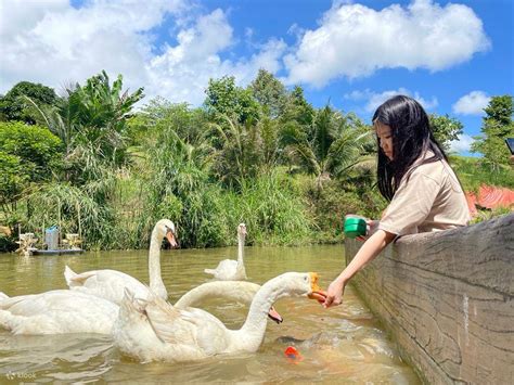 The Bentong Farm Ticket In Pahang Klook Malaysia