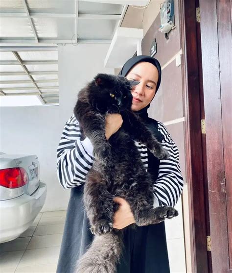 Kucing Persia Bigbone Di Bandung Kota Olx Murah Dengan Harga Terbaik