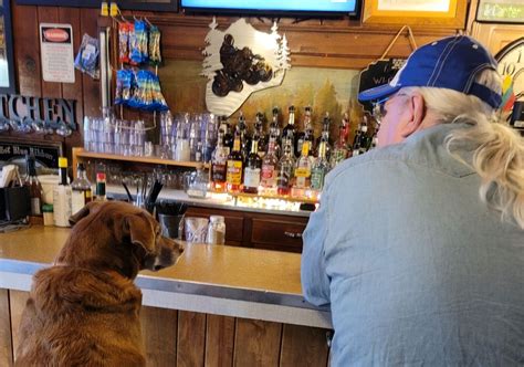 northwoods  northwoods