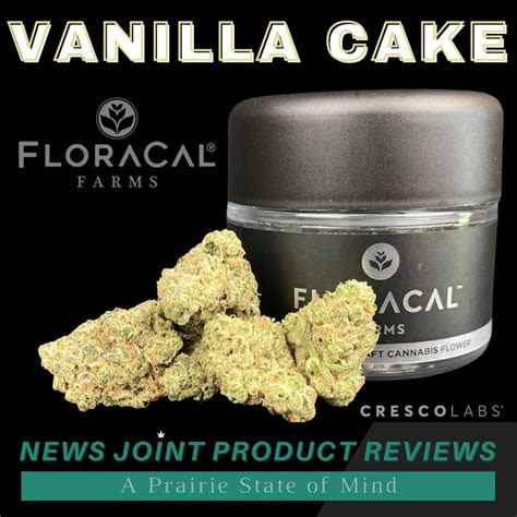 Review Vanilla Cake By Floracal Illinois News Joint