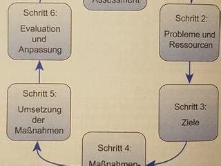 Der Pflegeprozess