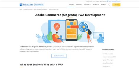 Best Magento Pwa Development Company And Providers In