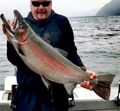 Huge Rainbow Trout Coastal Angler And The Angler Magazine