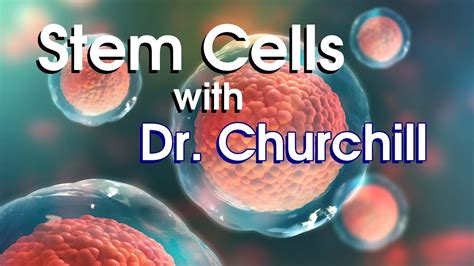 Stem Cell Treatment With Dr Dana Churchill YouTube