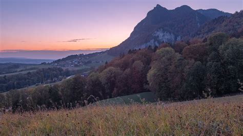 Discover forest and wildlife | Switzerland Tourism