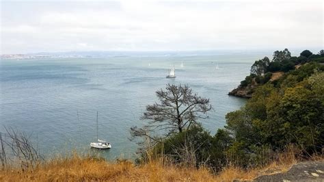 Tiburon Itinerary How To Spend A Day In Tiburon Ca