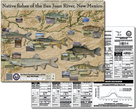 Native New Mexico Fish - New Mexico Department of Game & Fish