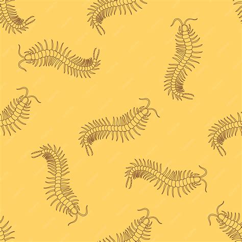 Premium Vector | Seamless pattern with centipede or millipede on the