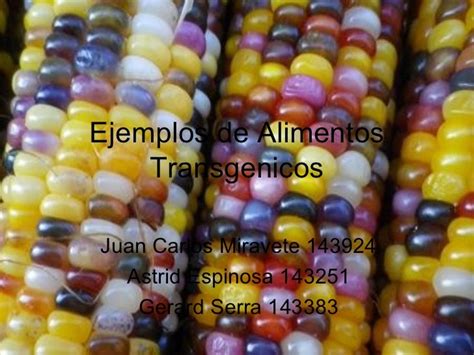 Ejemplos de alimentos transgenicos