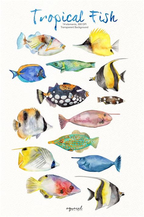 Watercolor TROPICAL FISH Clipart colorful fish clipart reef | Etsy ...