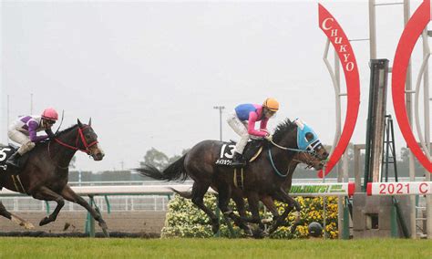 ＜中京競馬・11r 豊明s＞豊明sを制した幸騎乗のメイショウチタン（右）（撮影・椎名 航） ― スポニチ Sponichi Annex ギャンブル