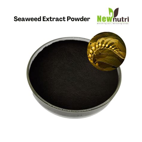 50 Organic Matter 18 K2O 18 Alginic Acid Seaweed Extract Powder