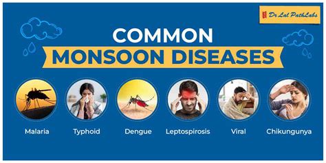 Monsoon Fever Common Monsoon Diseases To Look Out For Dr Lal