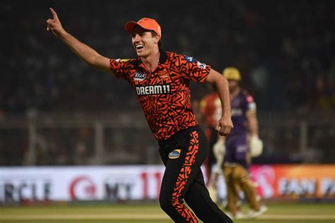 sunrisers hyderabad player list  team guide  ipl