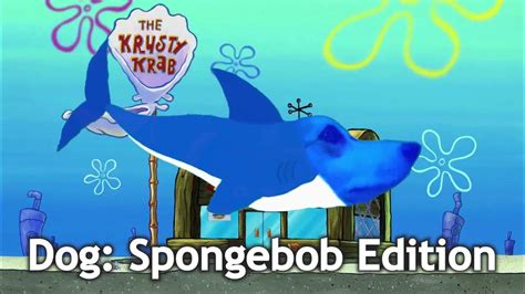 15 Gabe The Dog Baby Shark Sound Variations in 60 Seconds #