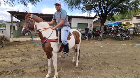 Feira De Cavalos De Bezerros Pe S Bado Youtube