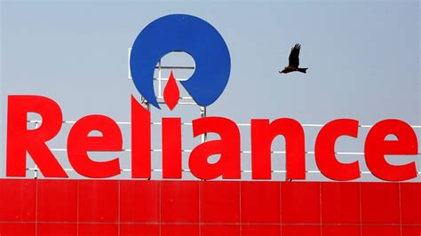 market cap       valued companies fall  rs  lakh