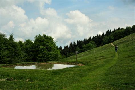 Monte Cesen Rifugio Posa Puner Salvadella Malga Mont Monte Crep Casere