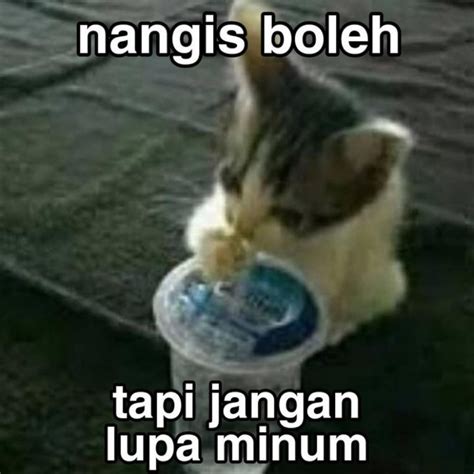 Meme Kucing Nangis Tetapi Imut Siap Wakili Kesedihanmu