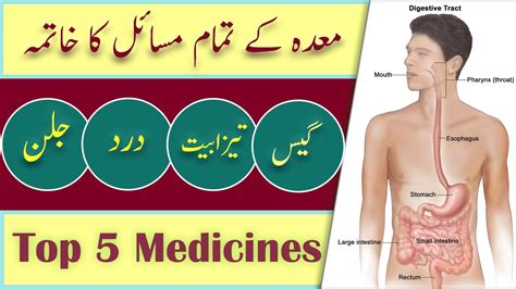 Top 5 Homeopathic Medicines For Acidity Stomach Problems YouTube