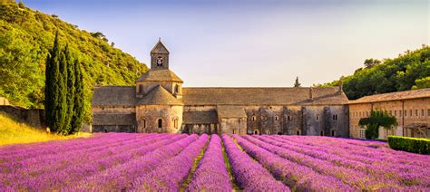 Grasse La Capitale Del Profumo Dei Fiori Fito