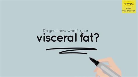 How To Get Rid Of Visceral Fat Truweight Youtube