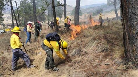 Se Registran Dos Incendios Forestales En Perote