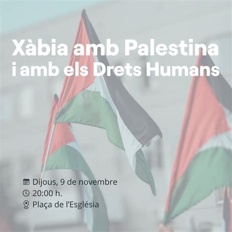 D Nia I X Bia Convoquen Manifestacions De Suport A Palestina Noticies