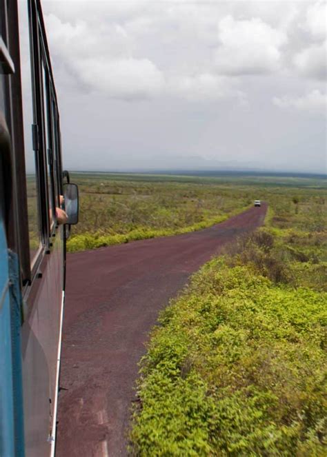 Baltra Island Visitor Guide (Galapagos Gateway) 7 Things to Know ...